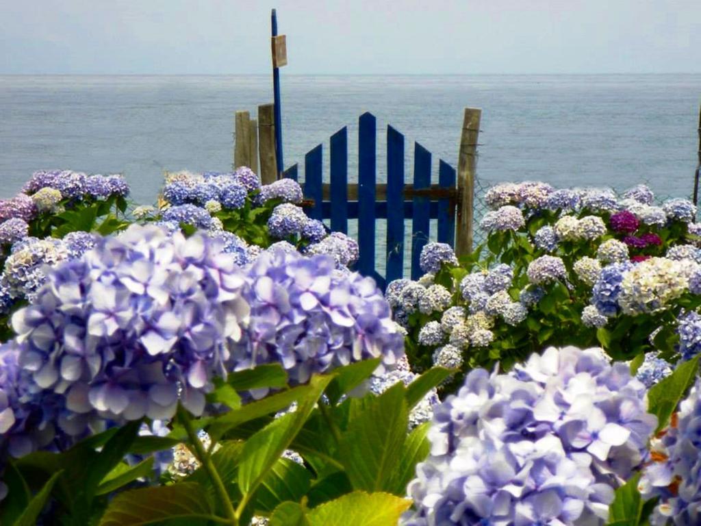 Archondissa Beach Aparthotel Therma  Bagian luar foto