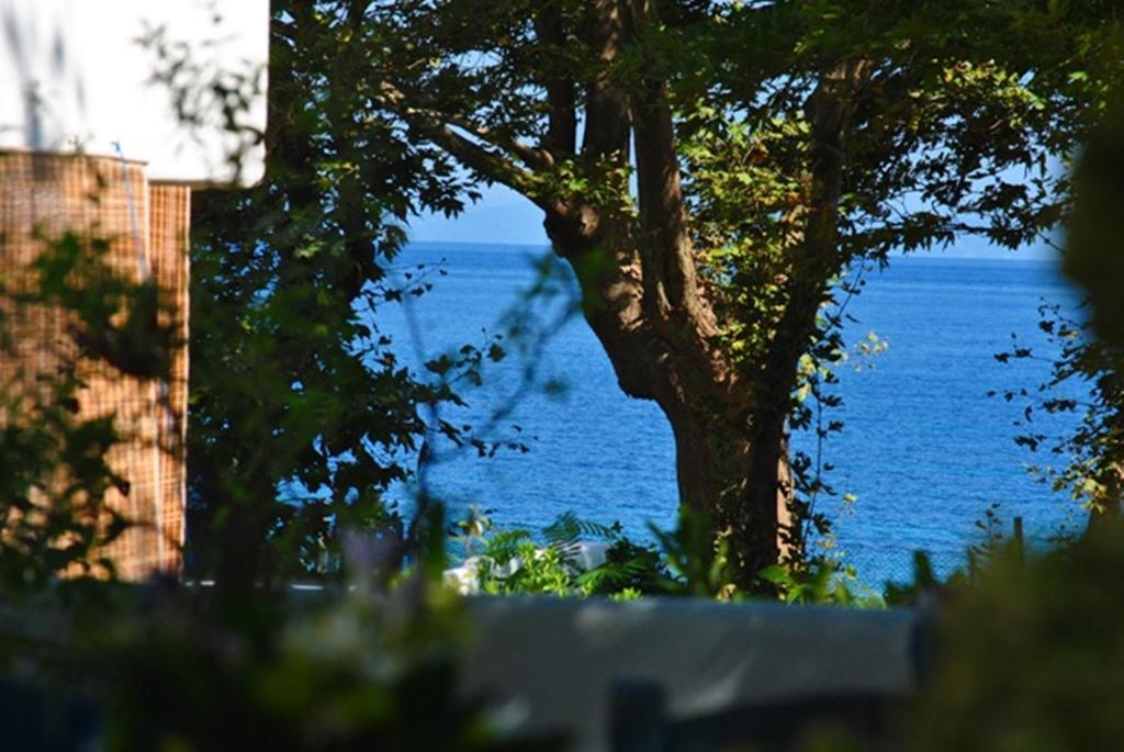Archondissa Beach Aparthotel Therma  Bagian luar foto