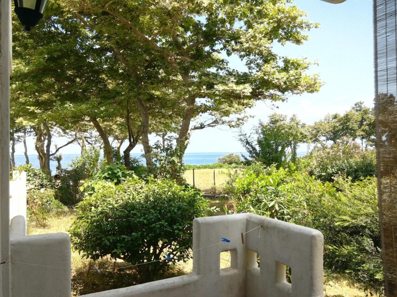 Archondissa Beach Aparthotel Therma  Bagian luar foto